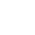 Icon of 20 days